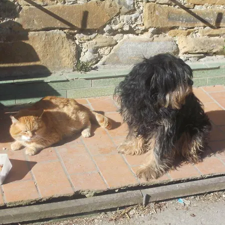 Bauernhof Moadl Κατάλυμα σε φάρμα *