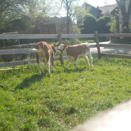 Bauernhof Moadl Gospodarstwo agroturystyczne *