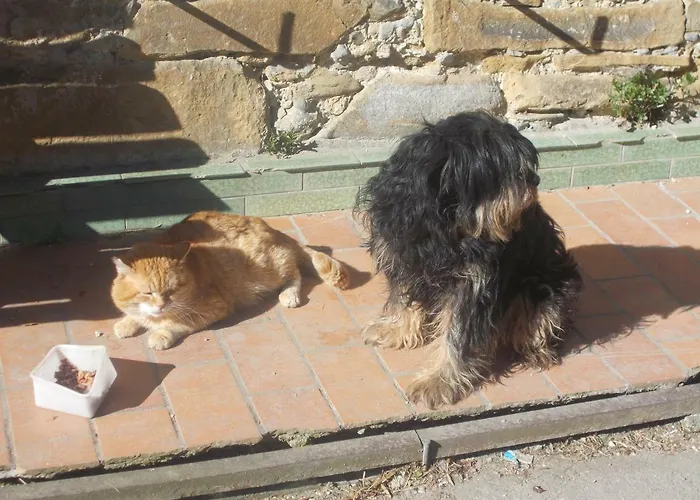 Bauernhof Moadl Bauernhof *