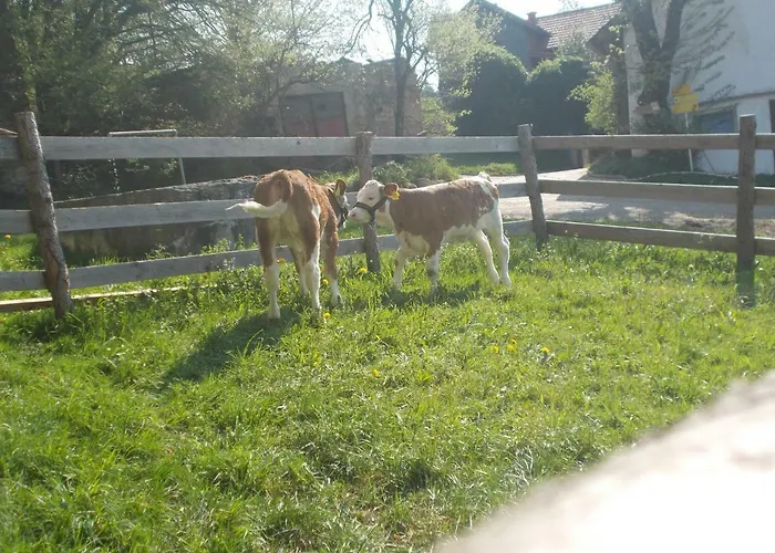 Bauernhof Moadl Farma *